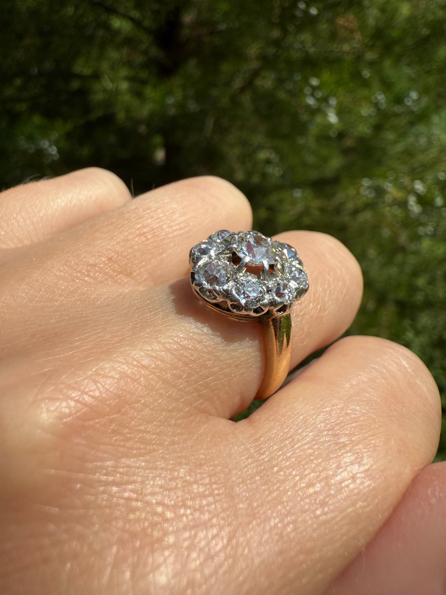 ANTIQUE 2.6 Carat 9 Old Mine Cut DIAMOND Daisy Cluster Ring 18k Gold & PLATINUM Belle Epoque Romantic Gift OmC Victorian Oval