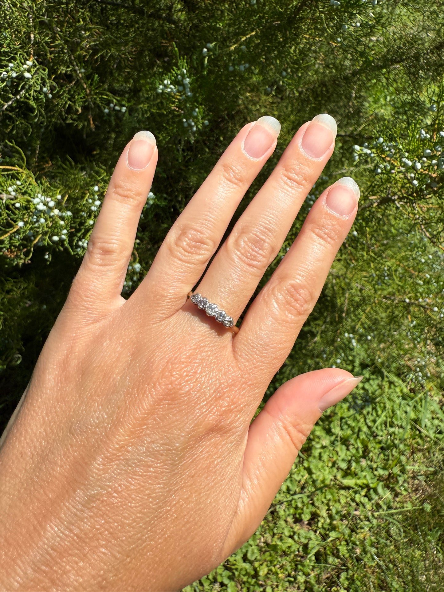TALL Antique 0.6 Ctw Five Stone Old Mine Cut Diamond 18k Gold Platinum Band OMC Champagne