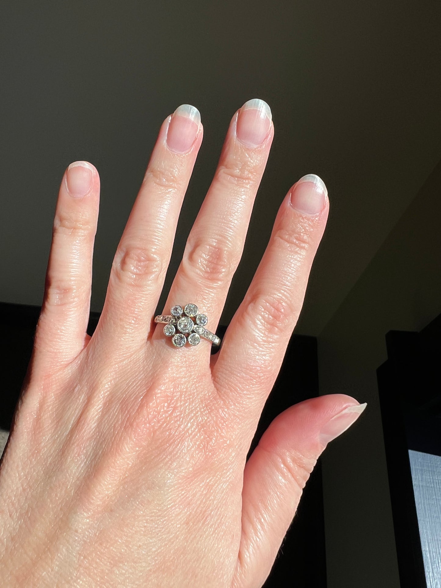 Unique 1 Carat Antique Rose & Old Mine Cut DIAMOND Seven Stone Cluster Ring 18k White Gold French Art Deco Bezel Set Halo