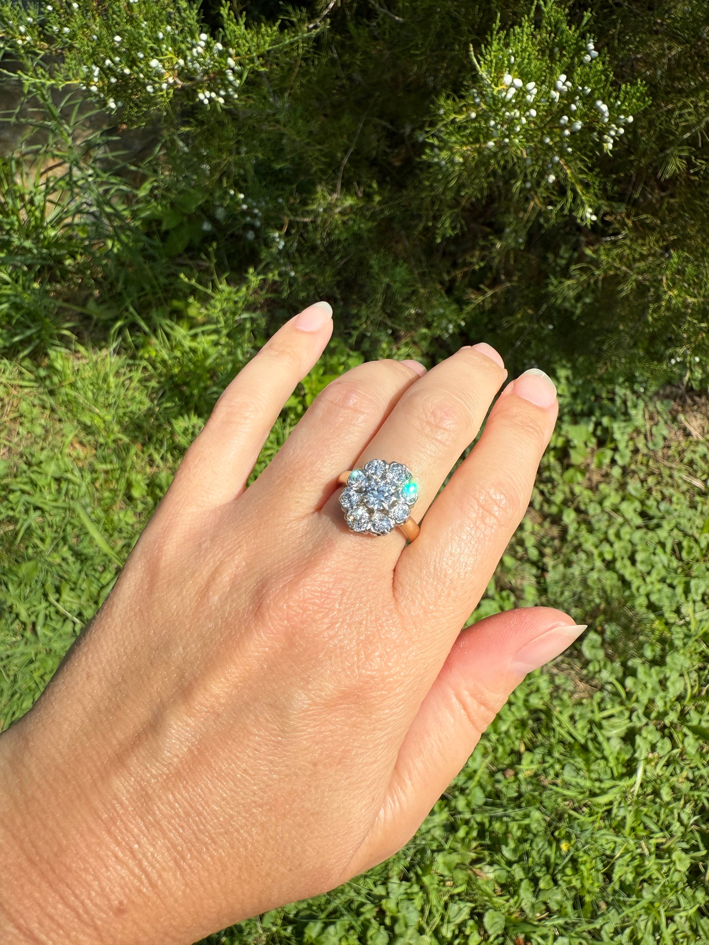 ANTIQUE 2.6 Carat 9 Old Mine Cut DIAMOND Daisy Cluster Ring 18k Gold & PLATINUM Belle Epoque Romantic Gift OmC Victorian Oval