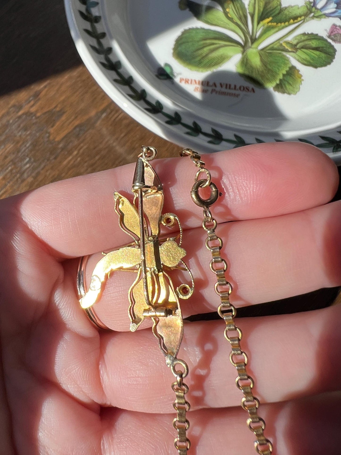 DRAGONFLY French Antique Necklace Victorian Tricolor 18k Rose Gold Figural Pin Pendant Old Mine Cut DIAMOND Belle Epoque Choker Chain Collar