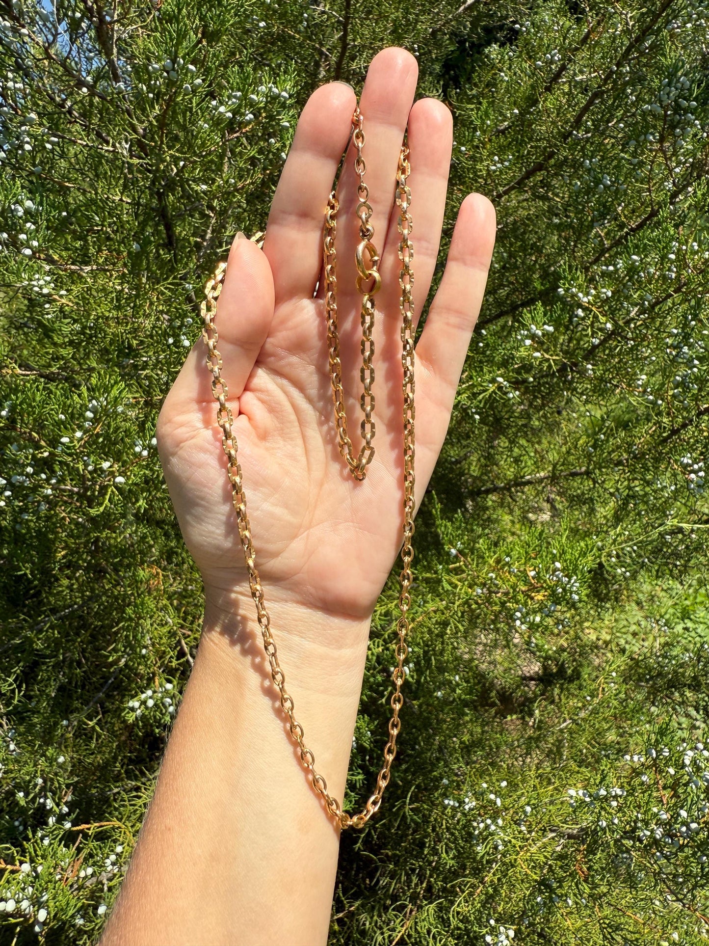 French Antique Tube Link Necklace Chain 15.75 Inch 6.7g 18k Gold Solid Ornate Collar Choker Pendant Holder Layer Belle Epoque Gift Neckmess
