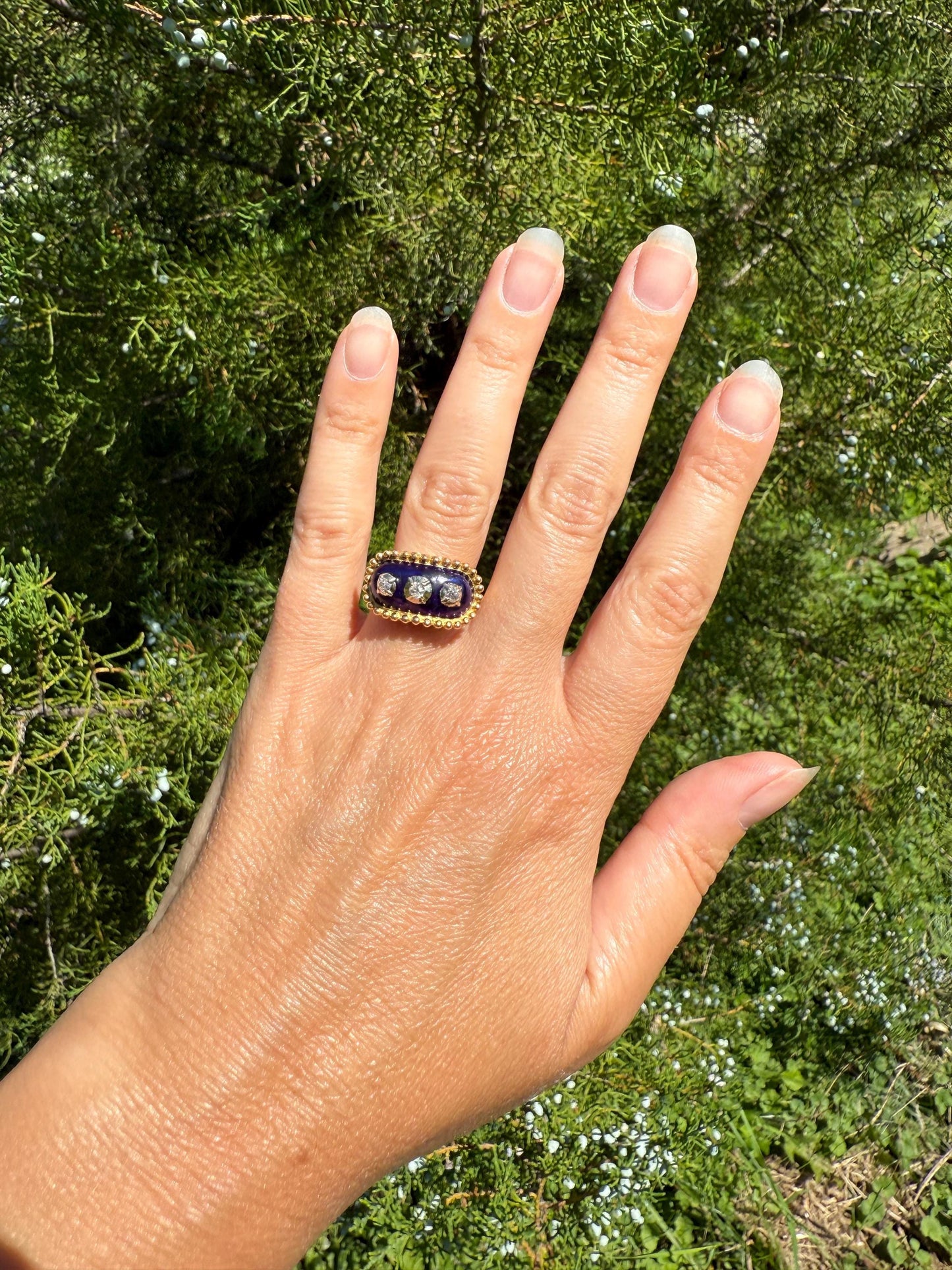 French Antique Bague Au Firmament Three Old Mine Cut Diamond Blue Enamel 18k Gold Ring of Heaven STAR Victorian Ornate Bead Rivet Halo OMC