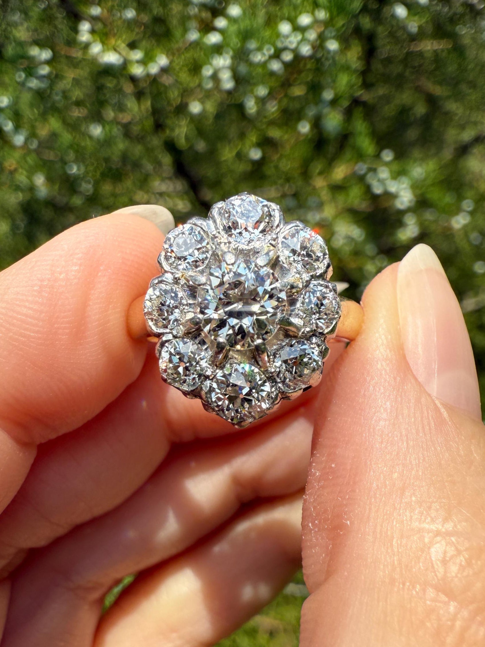 ANTIQUE 2.6 Carat 9 Old Mine Cut DIAMOND Daisy Cluster Ring 18k Gold & PLATINUM Belle Epoque Romantic Gift OmC Victorian Oval 2.6Ctw OmC