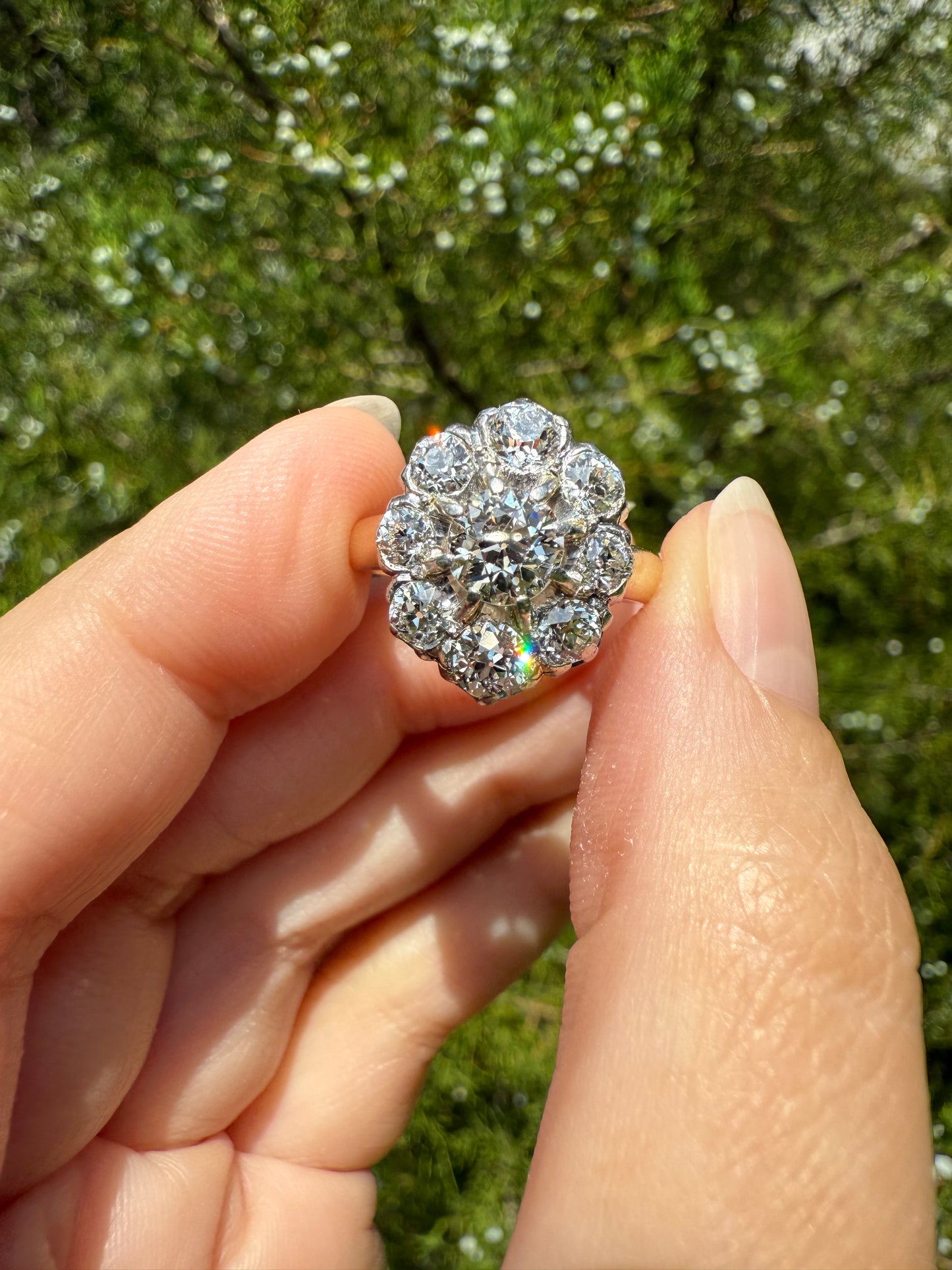 ANTIQUE 2.6 Carat 9 Old Mine Cut DIAMOND Daisy Cluster Ring 18k Gold & PLATINUM Belle Epoque Romantic Gift OmC Victorian Oval