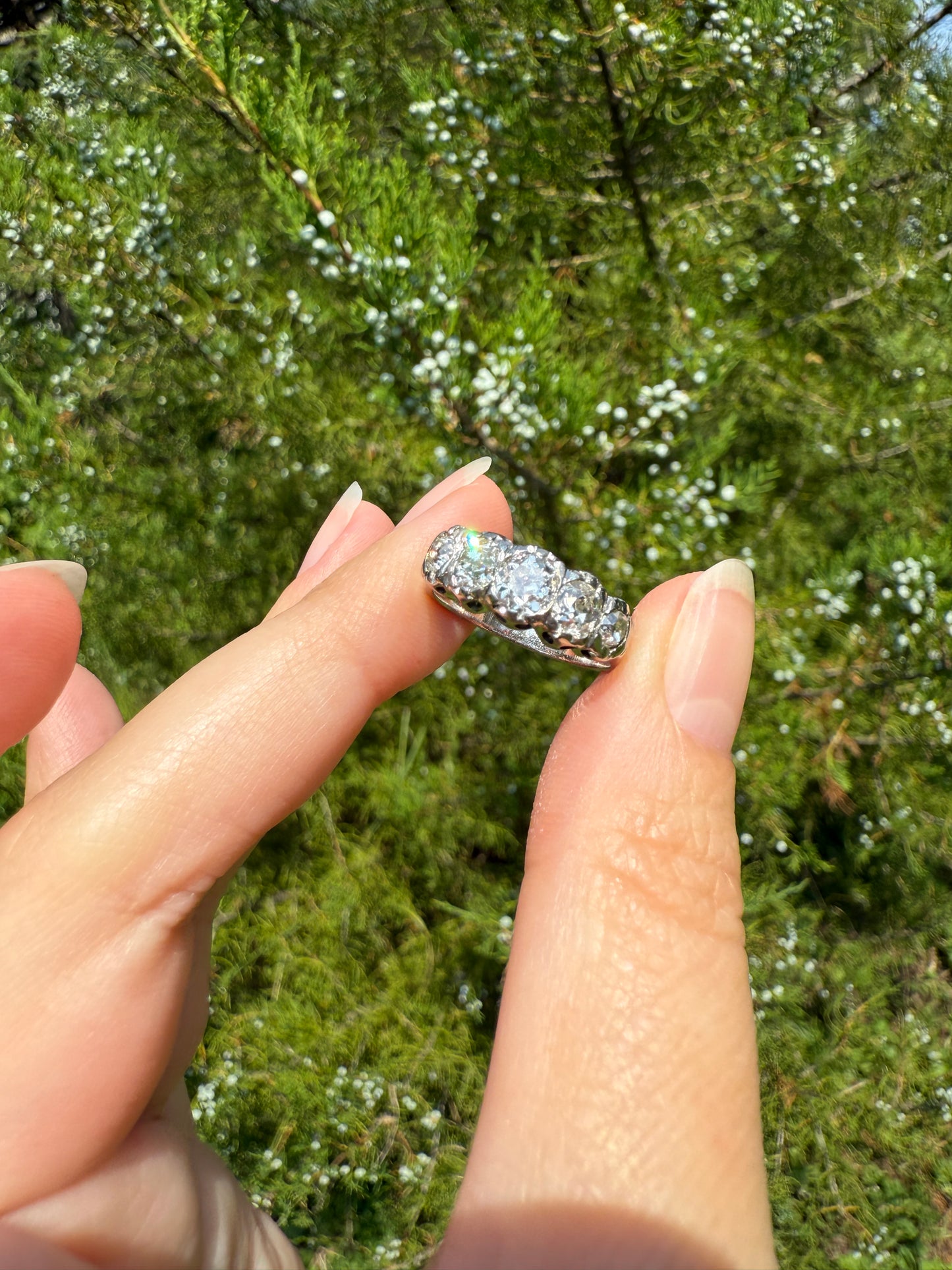 CHUNKY 1.5 Carat Five Stone Old Mine Cut Diamond Band French Antique Platinum Ring Stacker