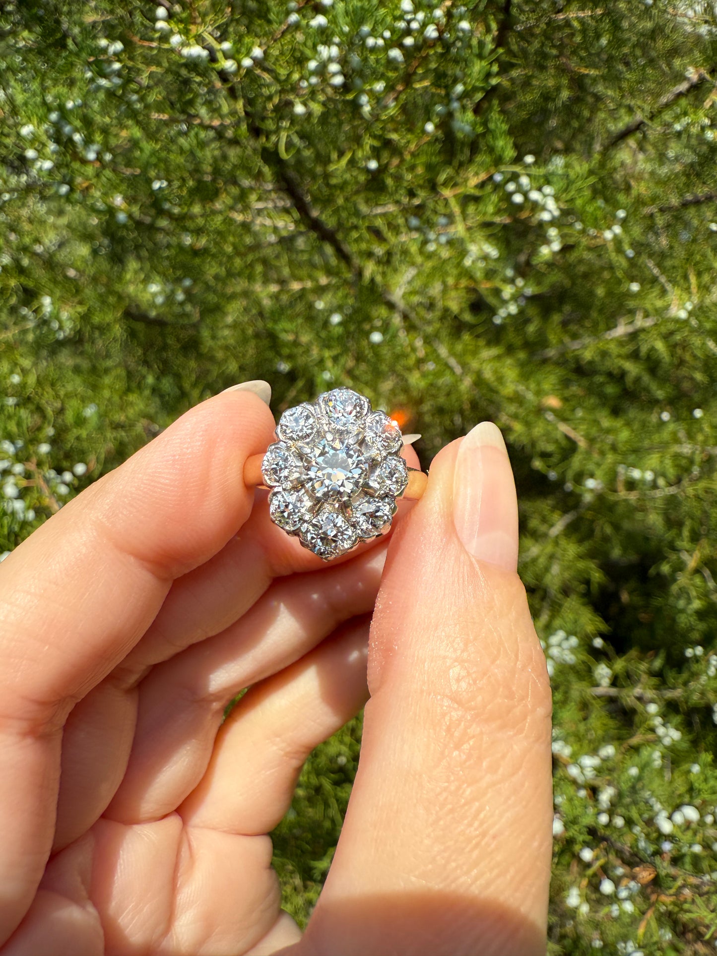ANTIQUE 2.6 Carat 9 Old Mine Cut DIAMOND Daisy Cluster Ring 18k Gold & PLATINUM Belle Epoque Romantic Gift OmC Victorian Oval