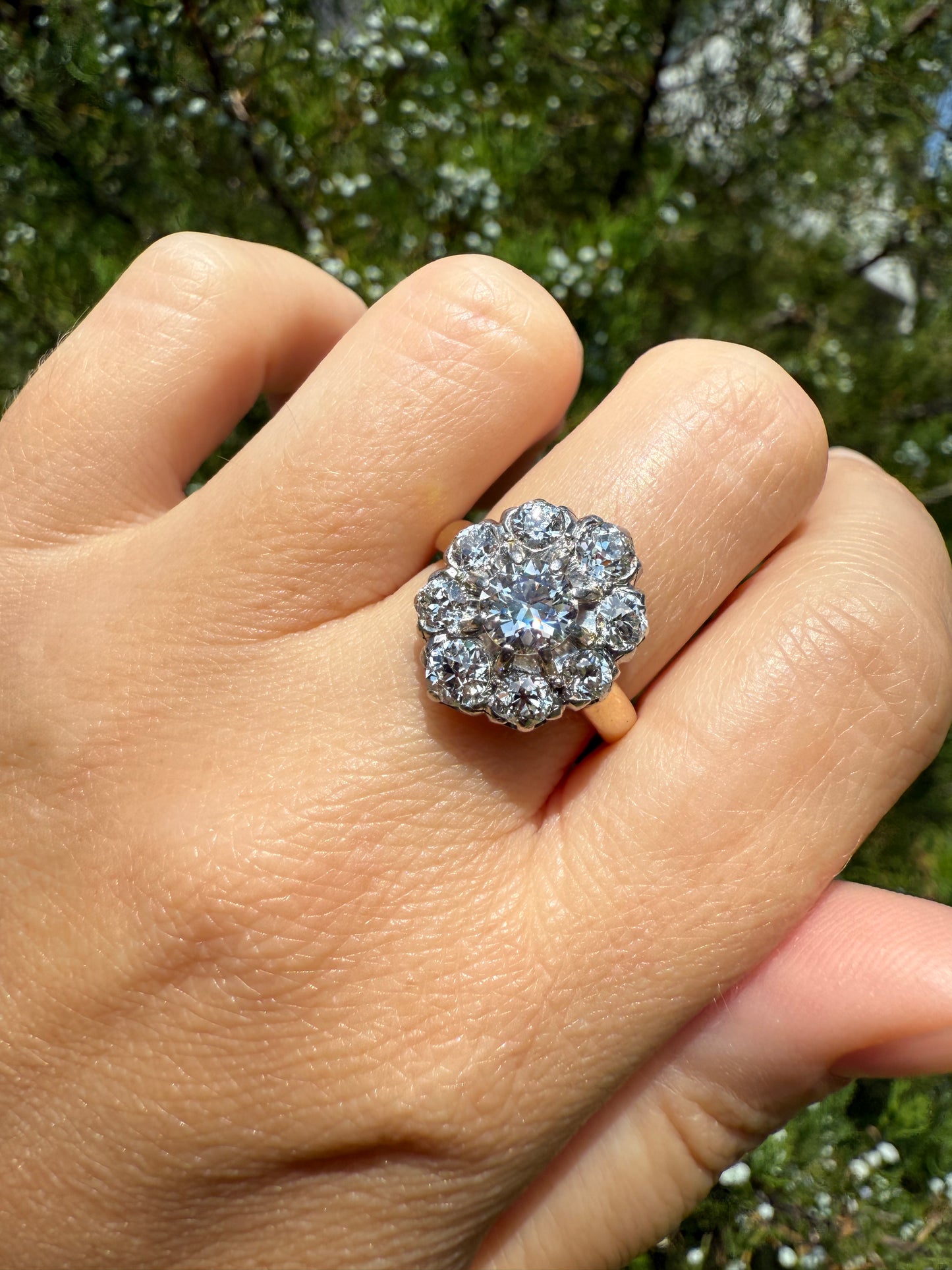 ANTIQUE 2.6 Carat 9 Old Mine Cut DIAMOND Daisy Cluster Ring 18k Gold & PLATINUM Belle Epoque Romantic Gift OmC Victorian Oval