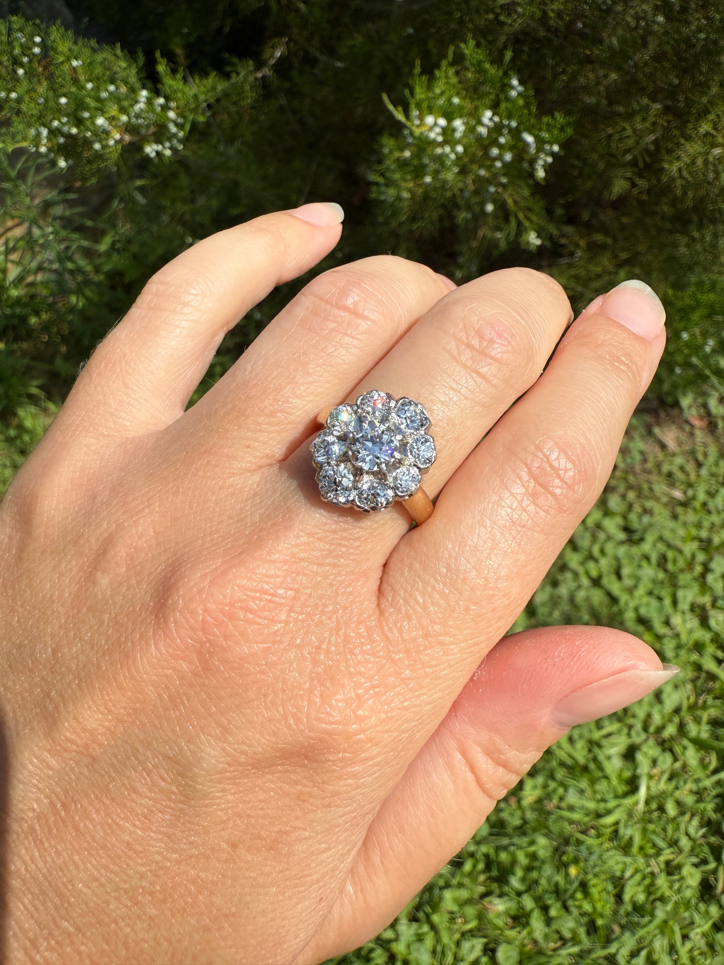 ANTIQUE 2.6 Carat 9 Old Mine Cut DIAMOND Daisy Cluster Ring 18k Gold & PLATINUM Belle Epoque Romantic Gift OmC Victorian Oval