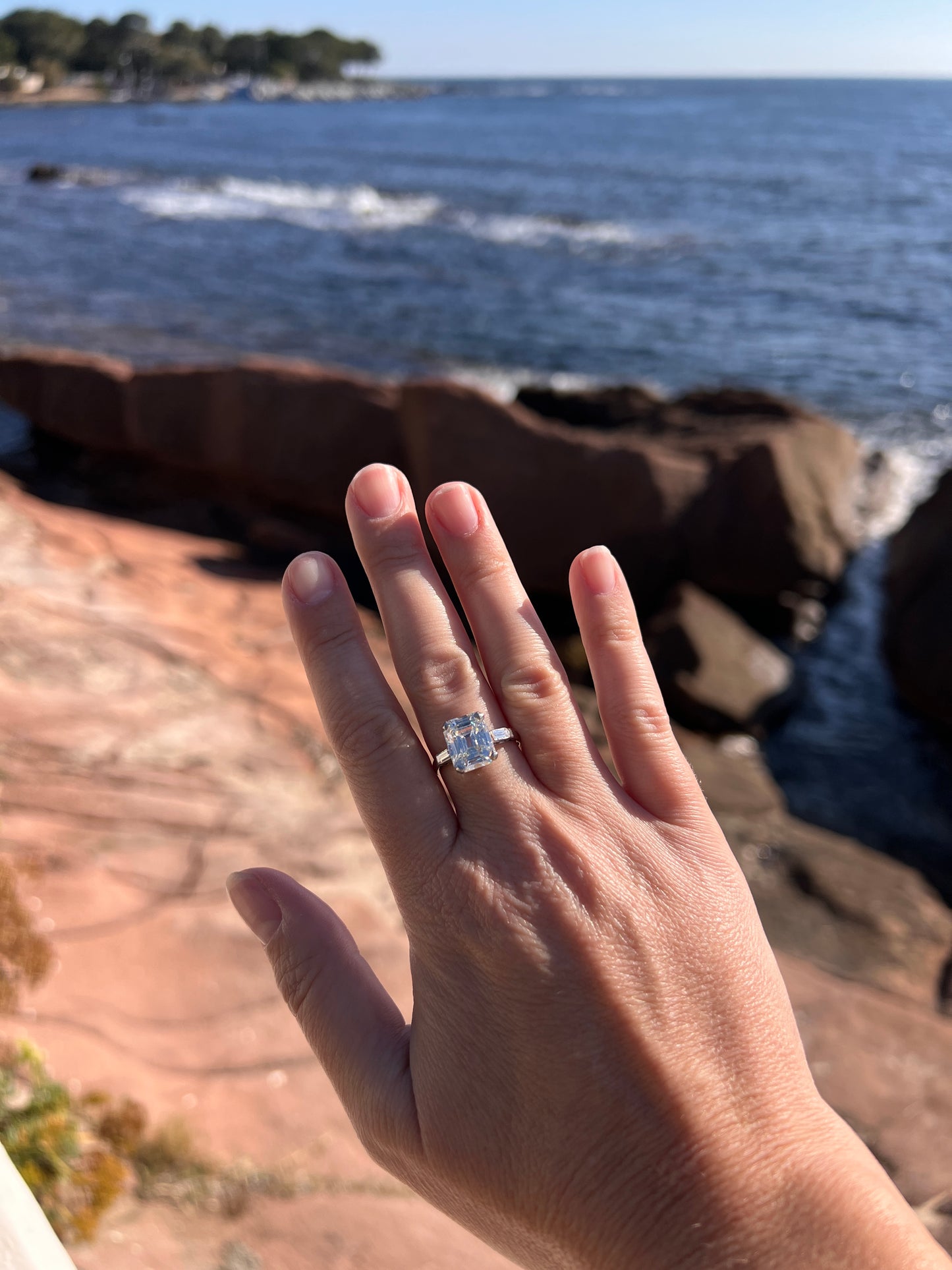 Exceptional Eye CLEAN 4 Carat Emerald Cut DIAMOND Solitaire Ring French PLATINUM Baguette Accents Vintage to Art Deco Retro Era w/ Cert Rare