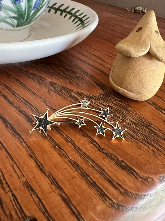 RARE Shooting STAR French Antique Fossil Starburst Pin Brooch for Pendant St. Vincent Historic to France Only Victorian 1800s Museum Gift