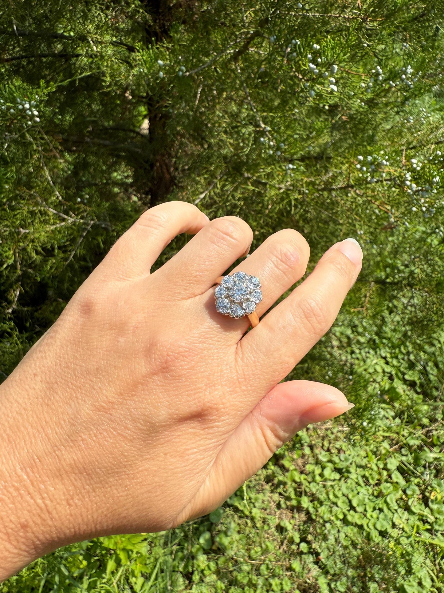ANTIQUE 2.6 Carat 9 Old Mine Cut DIAMOND Daisy Cluster Ring 18k Gold & PLATINUM Belle Epoque Romantic Gift OmC Victorian Oval 2.6Ctw OmC