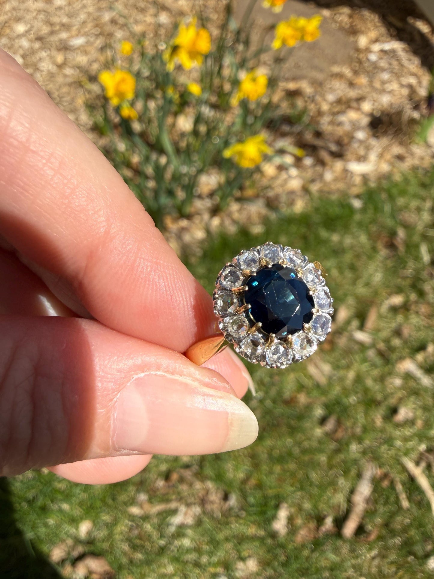 Antique Natural Sapphire Peacock Greenish Blue Halo Ring with Rose Cut Diamonds French Early 1900s Victorian Edwardian
