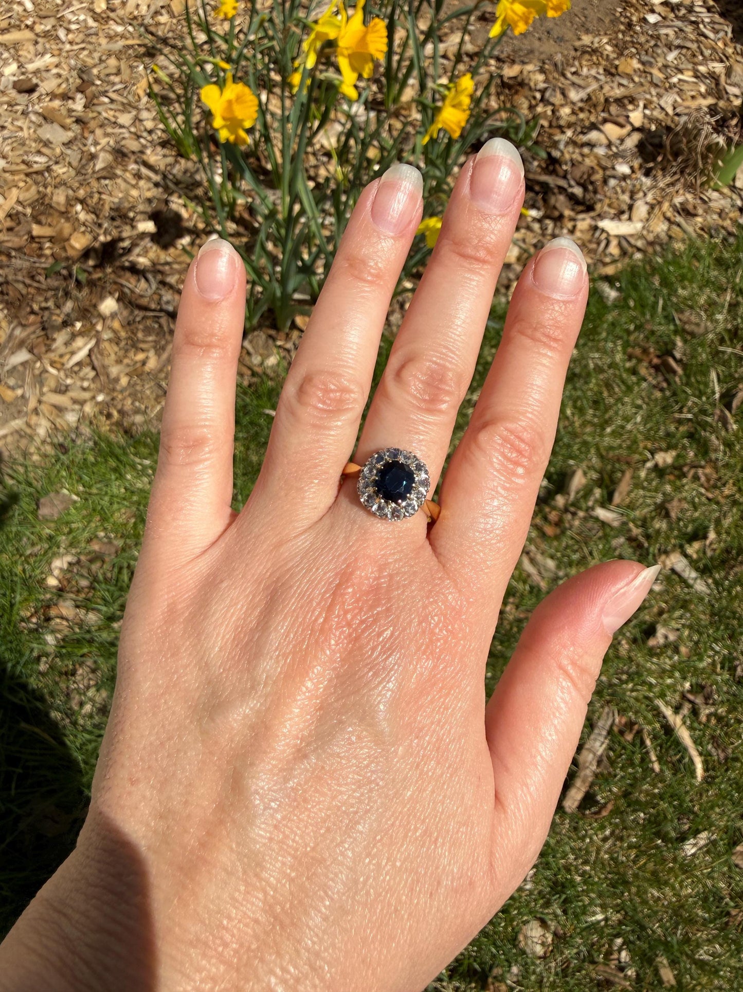 Antique Natural Sapphire Peacock Greenish Blue Halo Ring with Rose Cut Diamonds French Early 1900s Victorian Edwardian