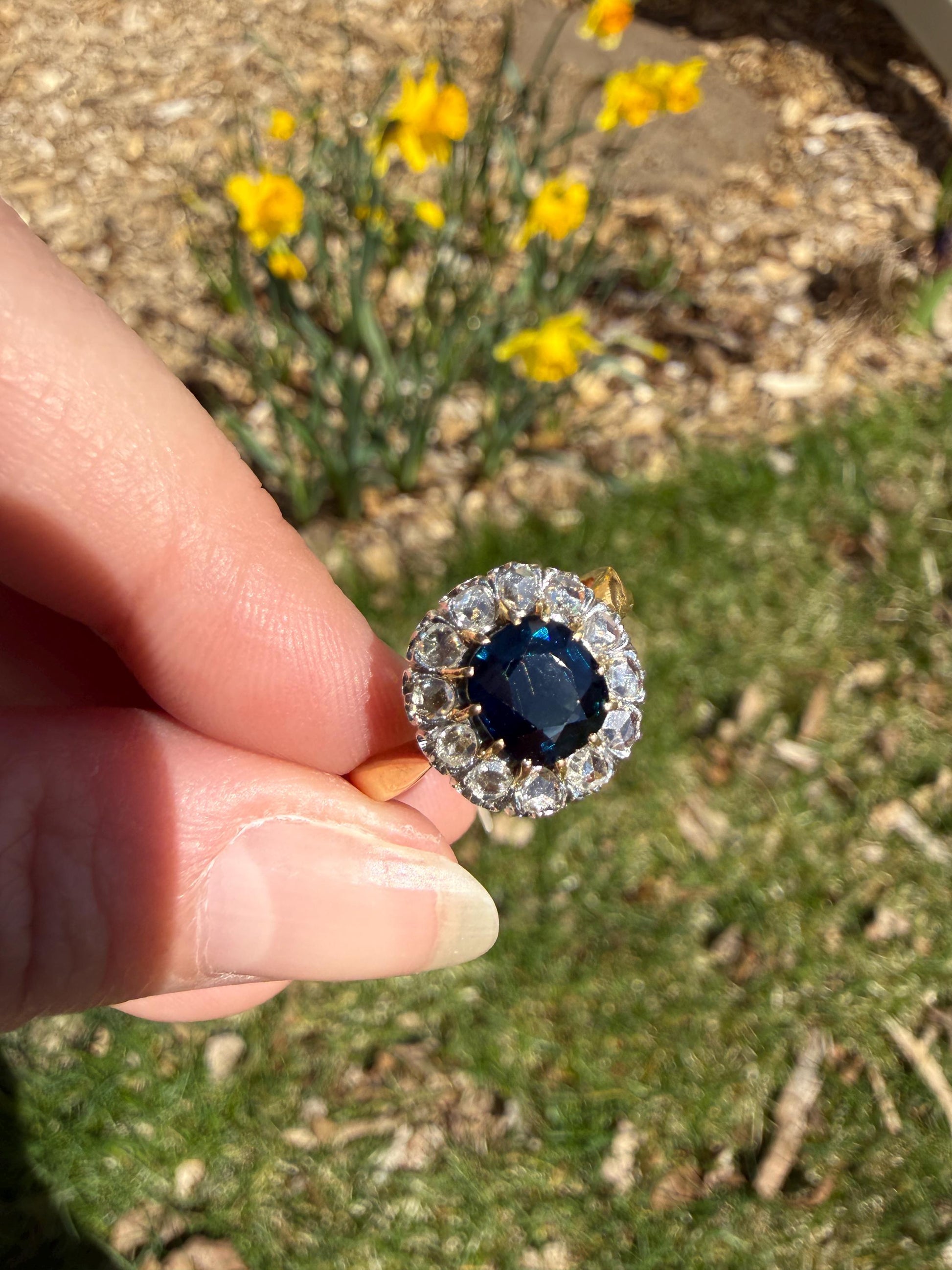 Antique Natural Sapphire Peacock Greenish Blue Halo Ring with Rose Cut Diamonds French Early 1900s Victorian Edwardian