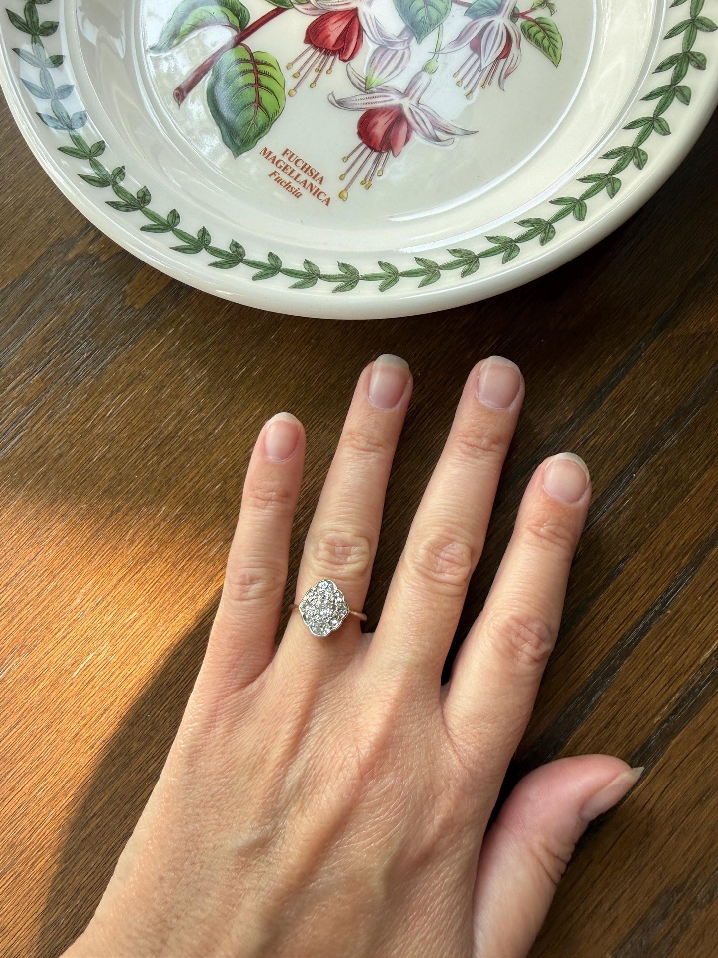 Antique Old Mine Cut DIAMOND Cluster Ring 18k Gold Platinum Edwardian Bezel Set European Rose Cut Mix w/ Insurance Valuation