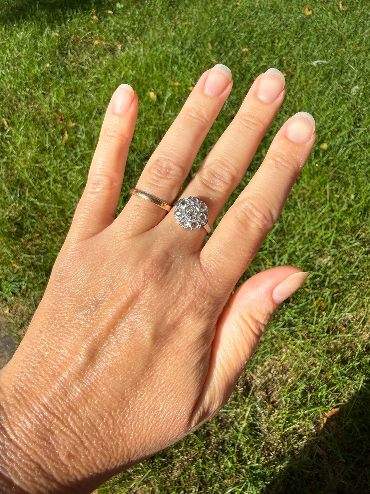 Antique Old Mine & Rose Cut Diamond Cobblestone Daisy Cluster Ring PLATINUM French Edwardian Disco Ball Halo