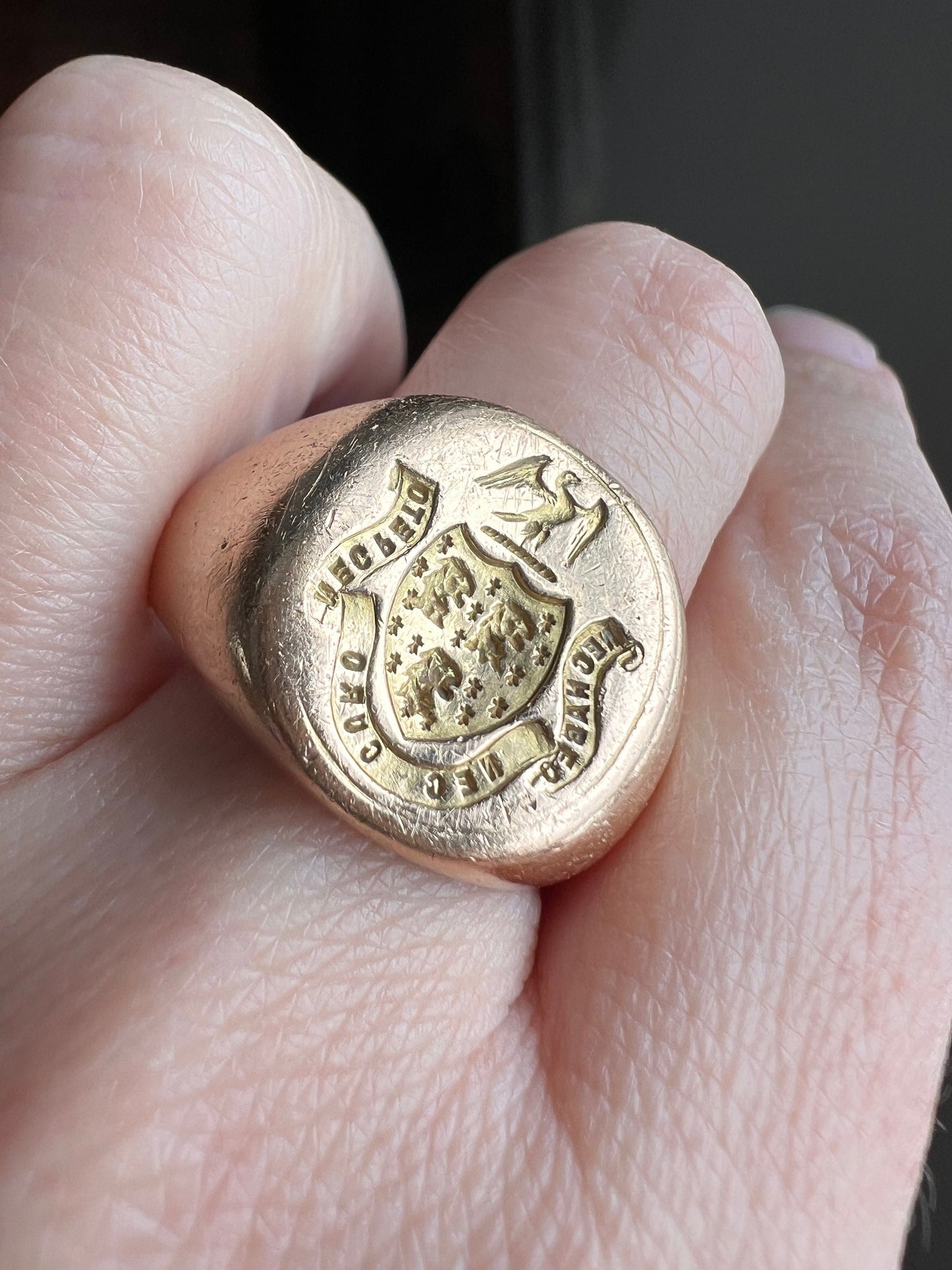 The " I DON'T CARE " Signet Ring French Antique HEAVY 19g 18k Gold Solid Shield Eagle Lion Fleur De Lis Chunky Unisex Man Have Not Lack Not